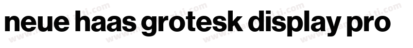 neue haas grotesk display pro 45 Li字体转换